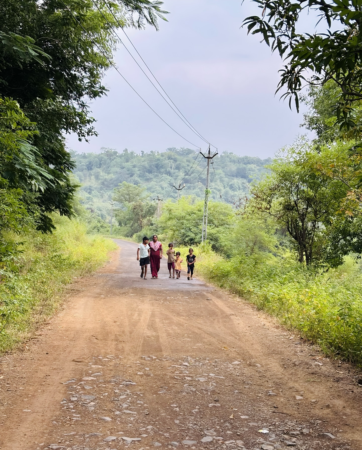 Village road through the forest