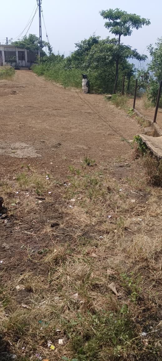 Ajmal Gadh mountain cleanup — photograph 1