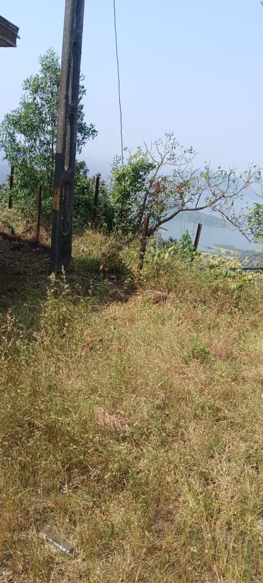 Ajmal Gadh mountain cleanup — photograph 7