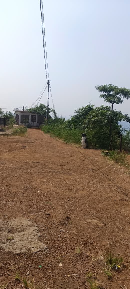 Ajmal Gadh mountain cleanup — photograph 10