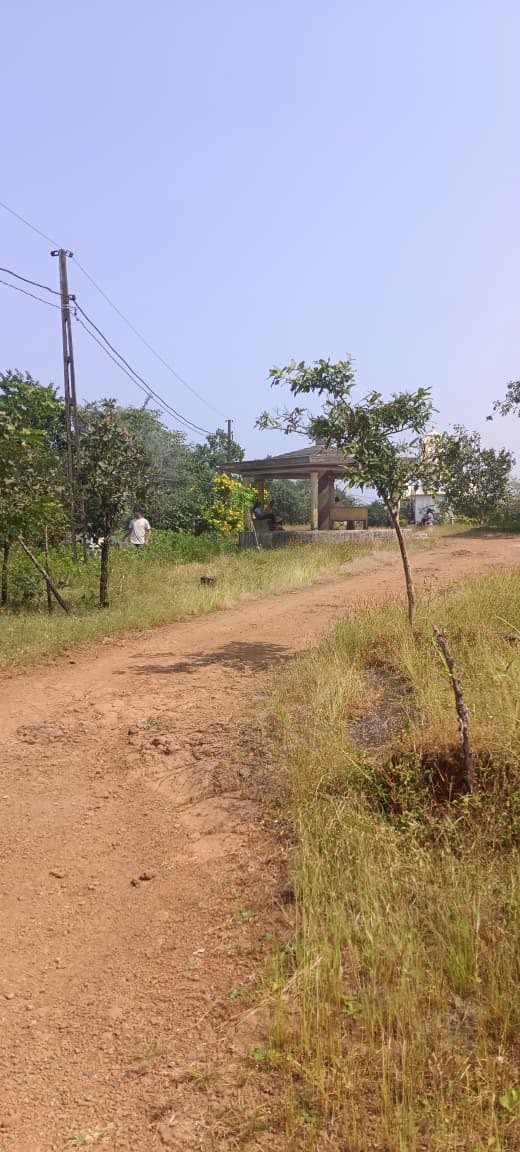 Ajmal Gadh mountain cleanup — photograph 13