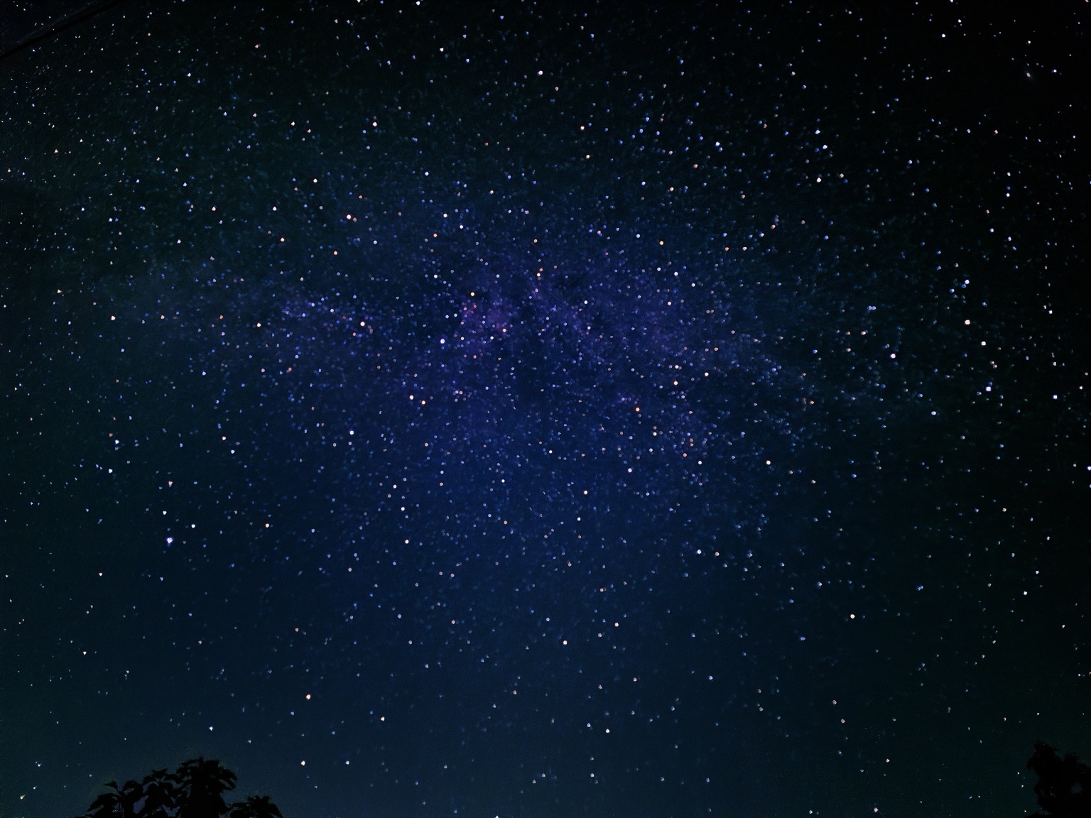 Star-filled night sky
